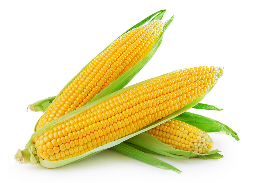 invertir en maíz