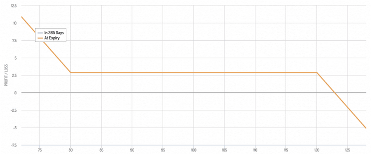 bearischen Risikoumkehr