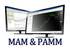 الاختلافات بين حسابات MAM و PAMM المُدارة 