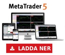 MT5